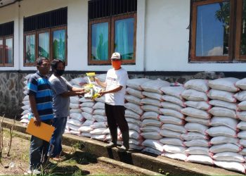 Jaga Ketahanan Pangan, Pemkab Salurkan Bantuan Bibit Jagung Manis