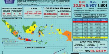 Pasien Terkonfirmasi Positif Covid19 di Indonesia Tembus 30.514 Orang