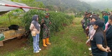 Gandeng TNI, Pemdes Tobongon Cegah Penyebaran DBD