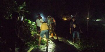 Tutupi Badan Jalan, Pemdes Tobongon Gerak Cepat Atasi Pohon Tumbang