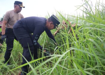 Dipimpin Langsung AKBP Irwanto, Polres Kotamobagu Bersihkan TPU Mogolaing