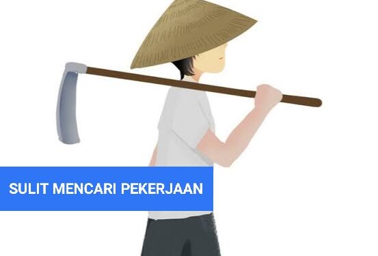 Aktivitas Pertambangan di Potolo Sangat Membantu Kehidupan Masyarakat Lokal