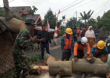 Aksi Sigap Babinsa Bilalang Bersihkan Pohon Tumbang