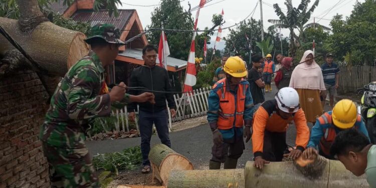 Aksi Sigap Babinsa Bilalang Bersihkan Pohon Tumbang