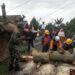 Aksi Sigap Babinsa Bilalang Bersihkan Pohon Tumbang