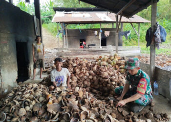 TNI Bersama Rakyat, Anggota Kodim 1303/Bolmong Bantu Petani Kopra