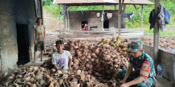 TNI Bersama Rakyat, Anggota Kodim 1303/Bolmong Bantu Petani Kopra