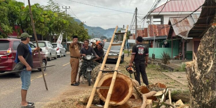 Bupati Oskar Manoppo Pantau Langsung Penebangan Pohon di Ruas Jalan Ibu Kota Boltim