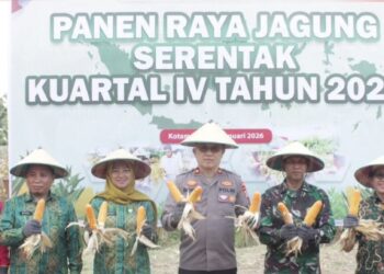 Kompol Romel Pontoh Pimpin Panen Raya Jagung Polres Kotamobagu