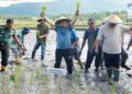 Kodim 1303/Bolmong Turut Sukseskan Tanam Padi Perdana Gubernur Yulius Selvanus di Kecamatan Lolak