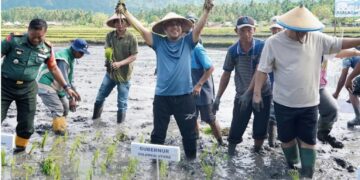 Kodim 1303/Bolmong Turut Sukseskan Tanam Padi Perdana Gubernur Yulius Selvanus di Kecamatan Lolak