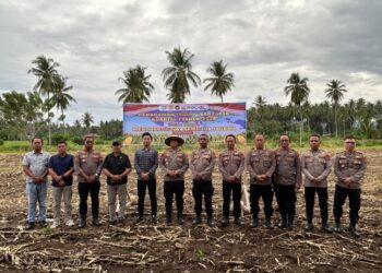 Sentuhan Tangan Dingin Kapolres Golfried Hasiholan Ubah Lahan Tidur Jadi Simbol Kedaulatan Pangan