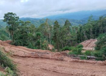 Usai Bolsel, Tim Mabes Polri Kini Ditantang Turun di PETI Perkebunan Salak Boltim yang Gunakan Alat Berat