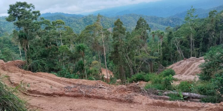 Usai Bolsel, Tim Mabes Polri Kini Ditantang Turun di PETI Perkebunan Salak Boltim yang Gunakan Alat Berat